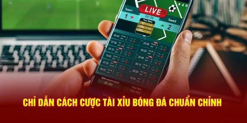 Cách cược tài xỉu bóng đá chuẩn