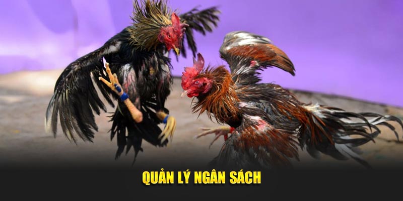 Quản lý ngân sách nhà cái J88